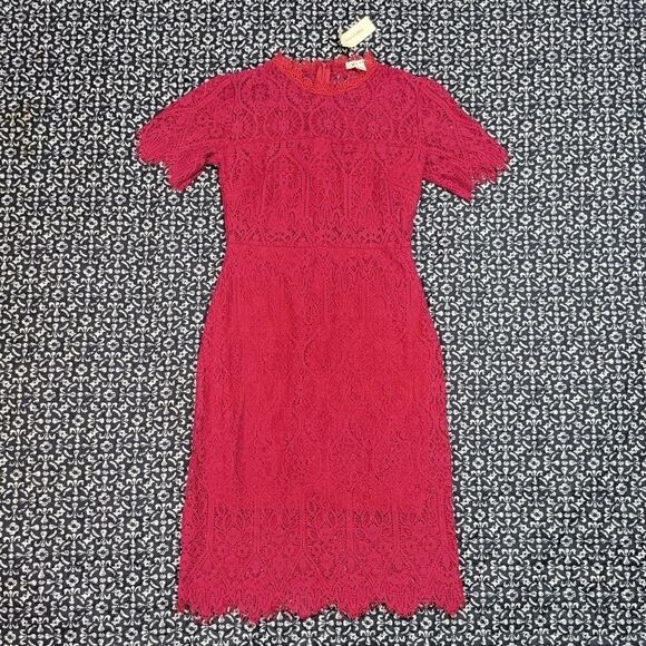 Hot Pink Lace Midi Dress - Picture 1 of 8